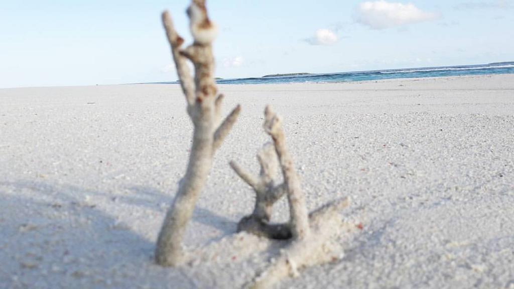 Madi Finolhu Guest House Dharavandhoo Kültér fotó