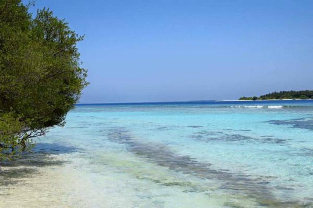 Madi Finolhu Guest House Dharavandhoo Kültér fotó