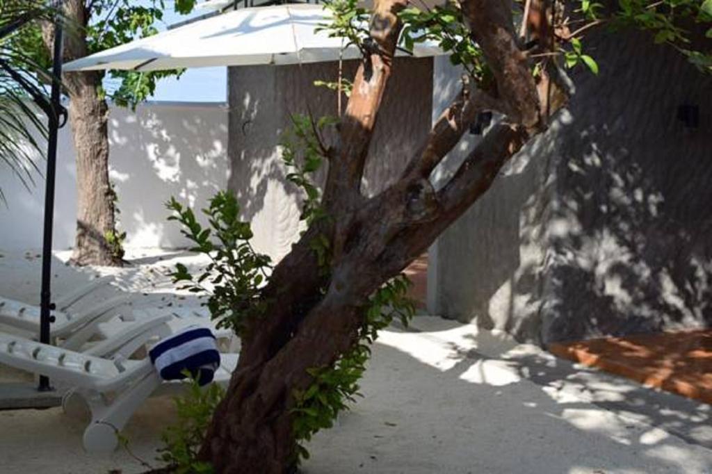 Madi Finolhu Guest House Dharavandhoo Kültér fotó