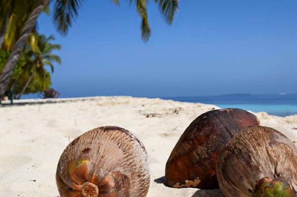 Madi Finolhu Guest House Dharavandhoo Kültér fotó