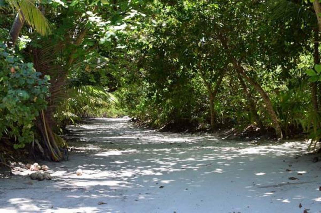 Madi Finolhu Guest House Dharavandhoo Kültér fotó